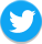 Twitter
                    logo